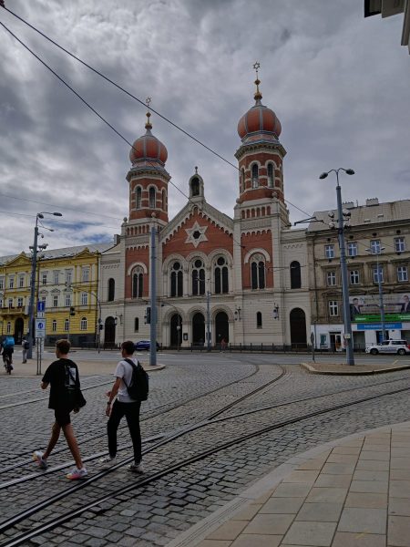 Plzeň synagoga